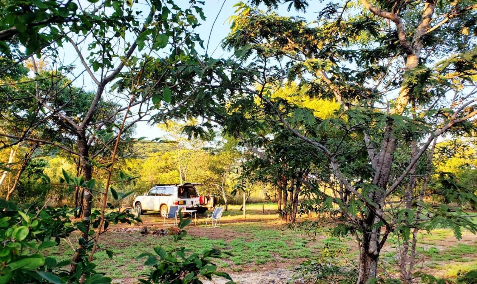 Musangano Lodge Odzi 외부 사진
