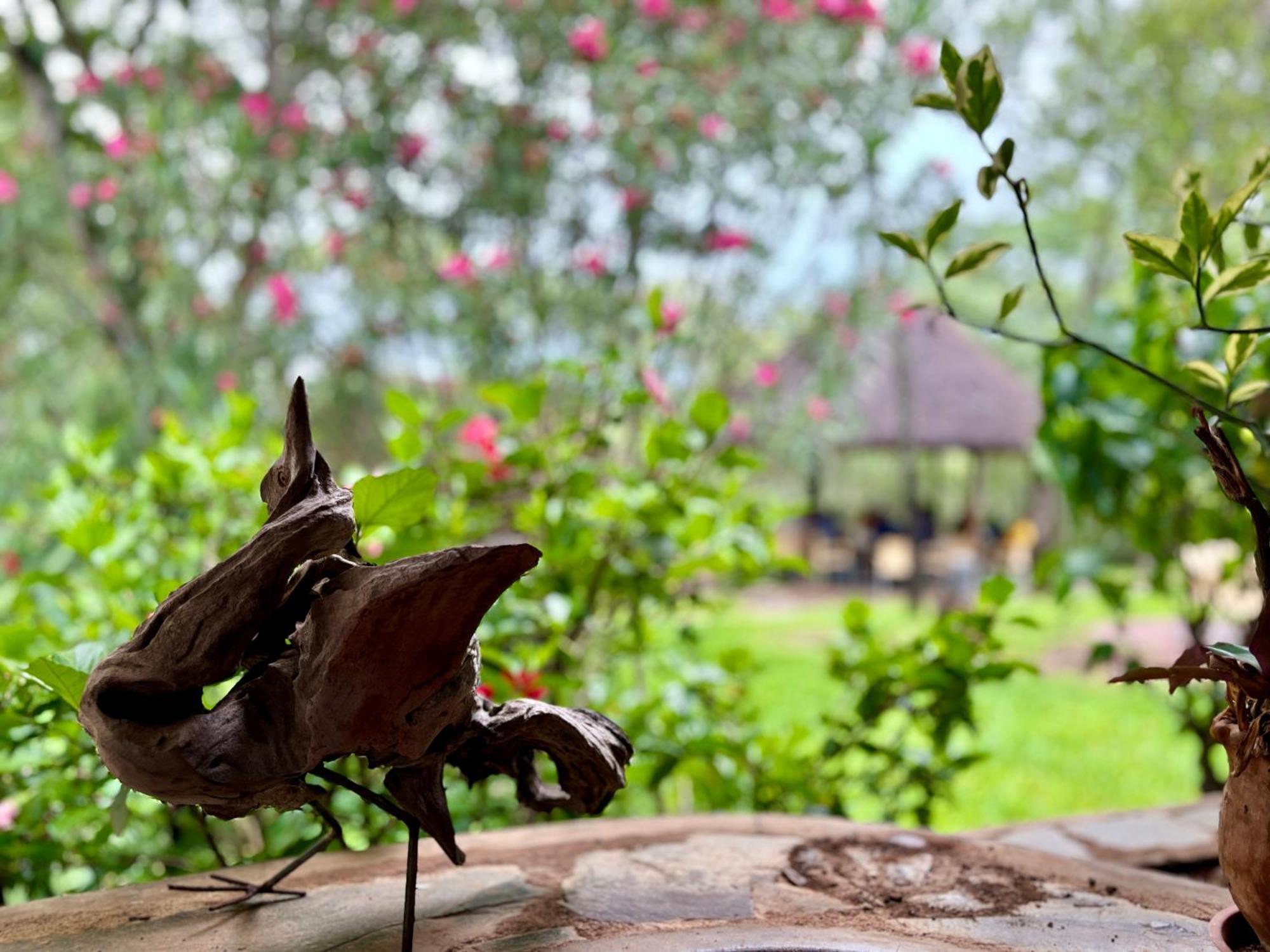Musangano Lodge Odzi 외부 사진