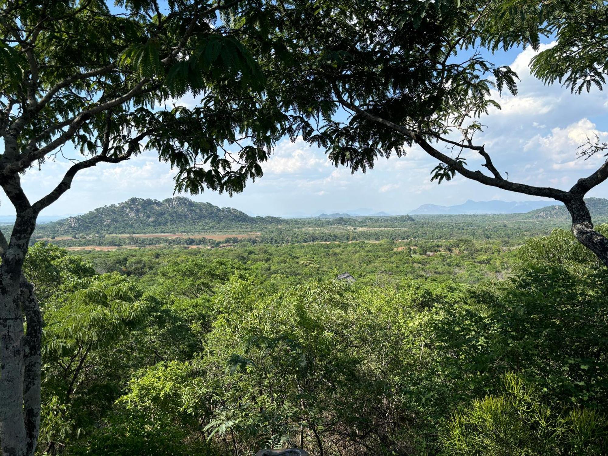 Musangano Lodge Odzi 외부 사진
